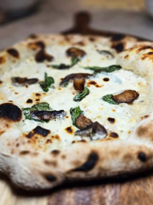 Alfredo mushroom pizza